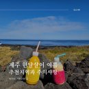 전기차충전소_구좌농공단지(제주이야기) | 제주도 여름 한달살이, 어디서 지낼까? 주의할 점까지 총정리!
