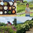 산청하루 | 산청 여행 KTX 해밀 여행사에서 힐링 하루 기차여행 내돈내산 후기