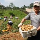 영후농장 이미지