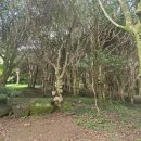 남파랑길 83코스 (2025. 8. 27, 9.10) 이미지