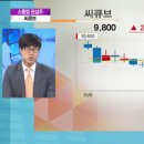 (주)씨큐브