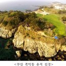 가야금속 이미지