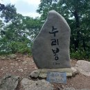 ★9/17(일)백대명산 선운산 꽃무릇 정기산행[명기대장] 이미지