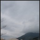 아소팜 Daum카페