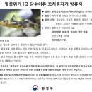 꼬치1호 이미지