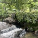 매화골향기 이미지