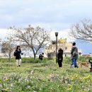 LOVING PET 이미지