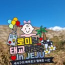 큰골목장 이미지