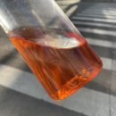 아미노산 폭발! 아르기닌 칼륨 스포츠 음료수 다이어트음료 붓기음료 추천 올헬씨