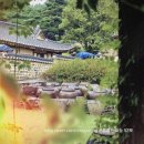 사색의길(명재고택) | 논산 명재고택에 내려온 이른 가을