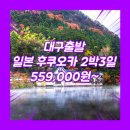동양항공여행사 | 대구출발 해외여행 여행사 / 대구공항 / 대구_후쿠오카_2박3일 #유후인 #벳푸 #야나가와 #일본 #TW...