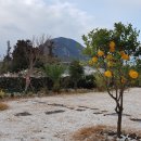 마당민박 이미지