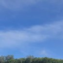 향남두리이비인후과의원 이미지