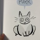 Tiny Cat 이미지