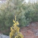 소나농장 이미지