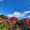 산수화농장 이미지