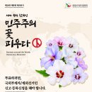 세계 속의 한국인, 민주주의 꽃 피우는 법 (부제: 재외선거인 20대 대통령 투표하는 법) 이미지