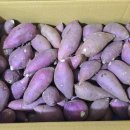 태기농장 이미지