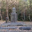 순천-51호 이미지