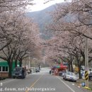 진남역 앞 이미지