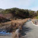 장척마을 이미지