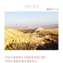 [생명의 삶 Q.T] 2020년 8월 5일(수) 인천경찰경목실장 이세연목사님 이미지