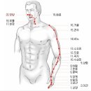 통곡지 이미지