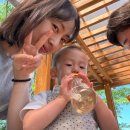 진양호공원(매점) | 아기랑 나들이 필수 코스 어린이날 다녀온 ‘진양호 동물원’ 솔직후기! 20개월 아기와 동물 친구들 만나기