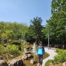 장미공원 이미지