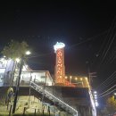 도안수산시장 방어 개시 내돈내산 솔직후기 마무리는 매운탕으로