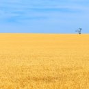 즐거운치과의원 이미지