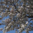 대륜동-2 이미지