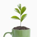 그린에너지 이미지