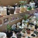 승주세탁소 이미지