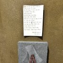 여백스크린 | Mission #480 효율을 포기한 공간이 주는 위로: 연희동 아난다 요가원에서 찾은 마음의 여백