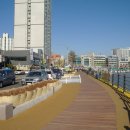 갈매기회타운 이미지