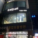 케이에이치비인터네셔널