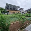 부영1차 아파트 앞 이미지