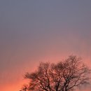 베스트타운빌딩 이미지