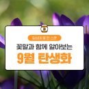 일상모과