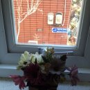 우2동경로당 이미지