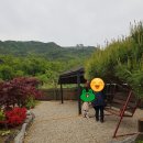 교동 연꽃마을 펜션 이미지