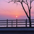 카페로아 이미지