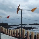 당케올레국수 이미지