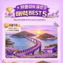 신안농장 | 이 섬 안 가면 진짜 손해! 전남 신안 퍼플섬(반월·박지도) 감성여행 후기