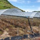 북암농장 이미지