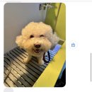 향기롭개 이미지