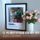 보곤다 | 보곤다 스토리액자ㅣ단 하나뿐인 반려동물 맞춤 액자 제작 추천