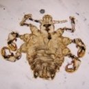 마리안여성의원 이미지