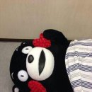 밀고향 이미지
